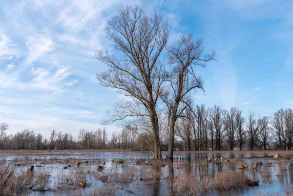 hoogwatergolf-in-nederland-2