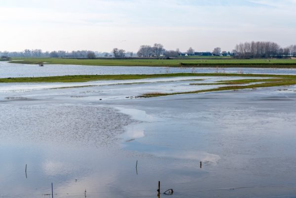 water-loevestijn