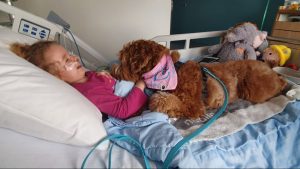 Thumbnail voor Moniques hond bezoekt kinderen in het ziekenhuis: 'Het geeft een heel voldaan gevoel'