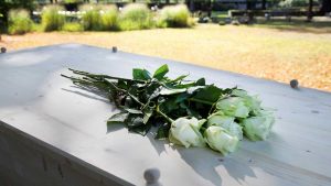 Thumbnail voor Lichaam dode man ligt twee maanden in Weense flat: 'Vergeten op te halen'