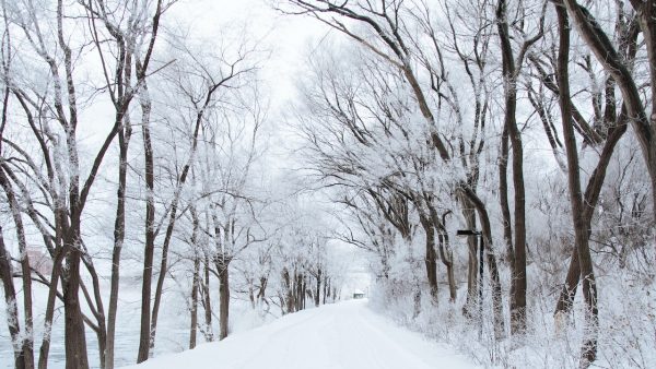 Collectief klappertanden: dikke kans op flink pak sneeuw