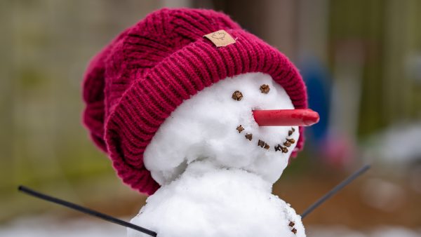 7x creatief met sneeuw: sneeuwpret in Nederland