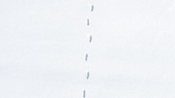 Met je blote voeten in de sneeuw? Dit effect heeft het op je lijf
