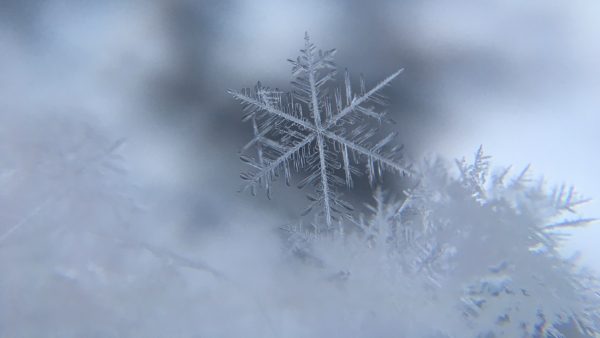 Ernstig gehandicapte man 's nachts in rolstoel achtergelaten