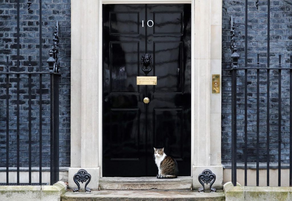 Kat Larry viert jubileum op Downing Street 10 als officiële muizenjager, maar is liever lui dan moe