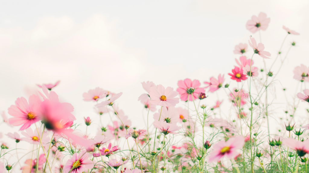 lente