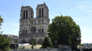 Thumbnail voor Frankrijk zoekt 1000 eeuwenoude eiken om torenspits Notre Dame te herbouwen