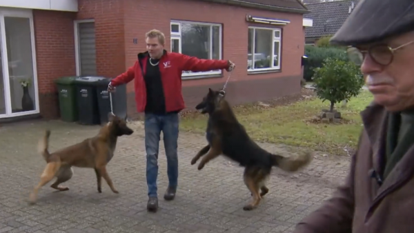 Mr Frank Visser doet uitspraak honden