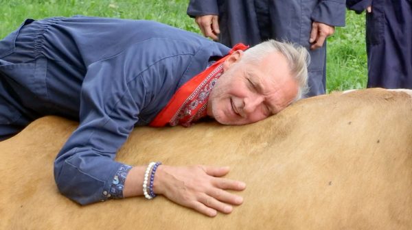 Koeien, koeien, koeien- 1,6 miljoen mensen zien hoe Martien een koe knuffelt_