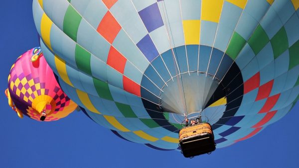 Paard raakt in paniek na landing luchtballon en overlijdt: bedrijf moet 15.000 euro betalen