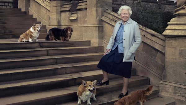 koningin Elizabeth honden