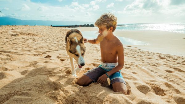 hond-jongen-samen-geadopteerd