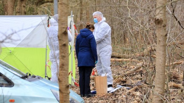 Foetus van 24 weken gevonden in natuurgebied Heidestein, Hoog Kanje in Zeist