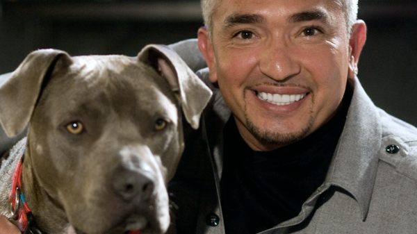 cesar millan