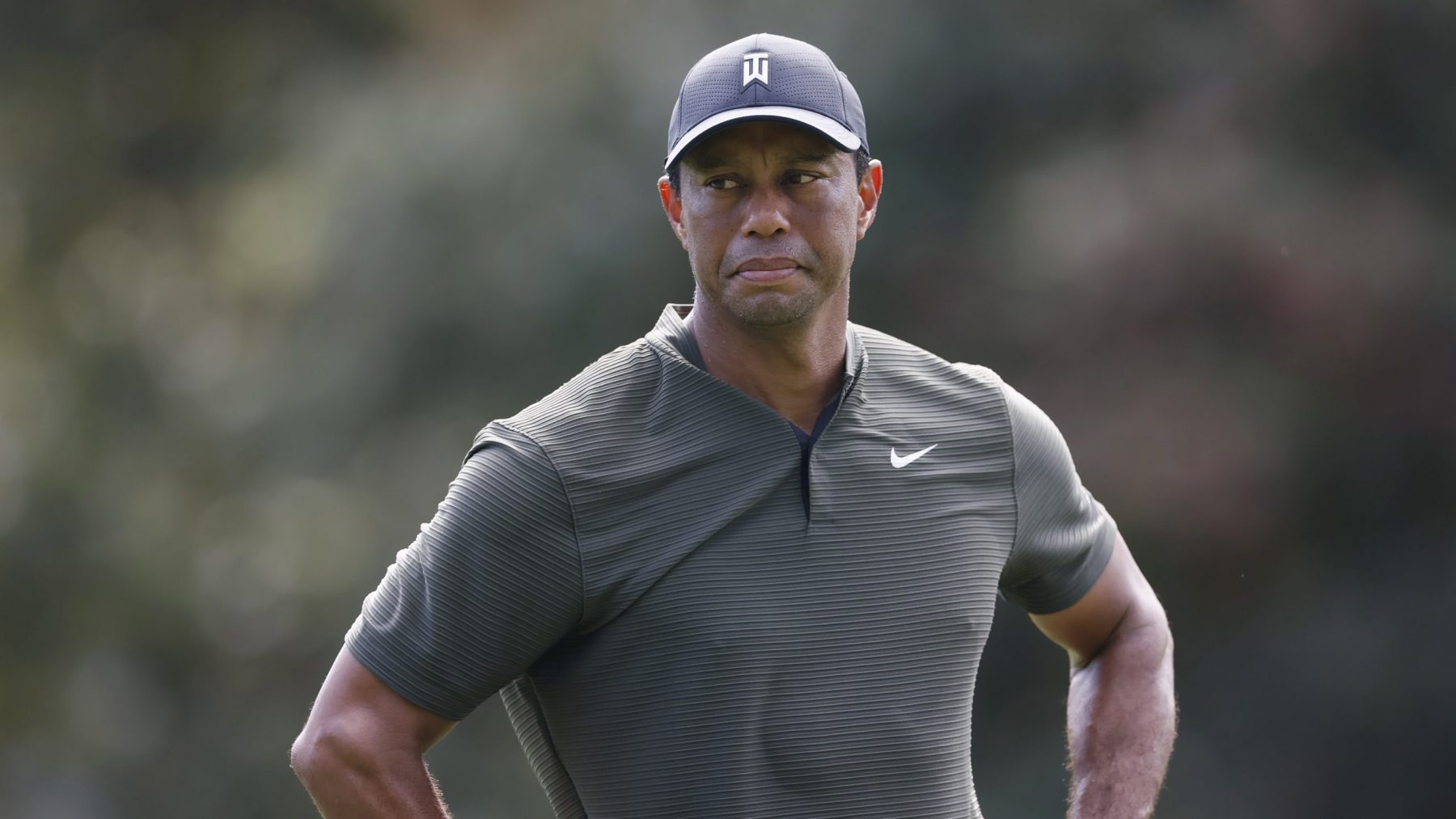 tiger woods