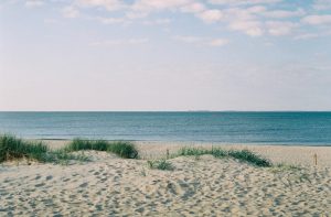 Thumbnail voor Ruwe haai lijkt zich voort te planten rond Waddeneilanden: 'Hoopvol nieuws'