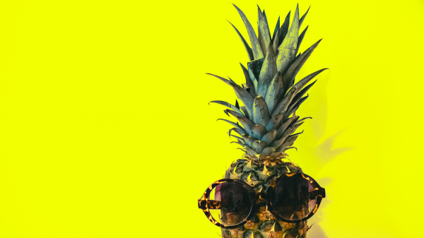 T-shirt, zonnebril, lenteschoonmaak, het wordt warm