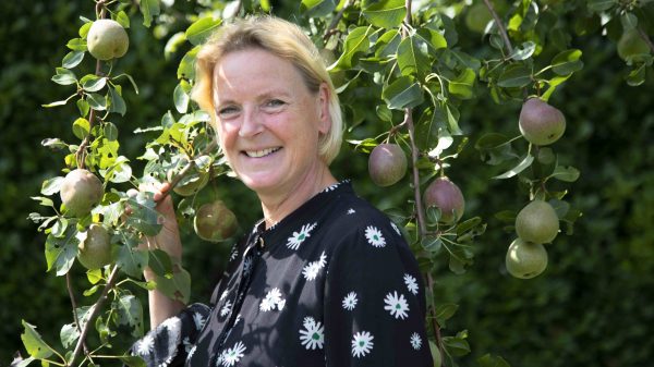 Wat goéééd: dit is de nieuwe liefde van Erica Meiland