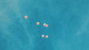Thumbnail voor Stuntvliegtuig crasht tijdens gender reveal in Mexico: twee doden
