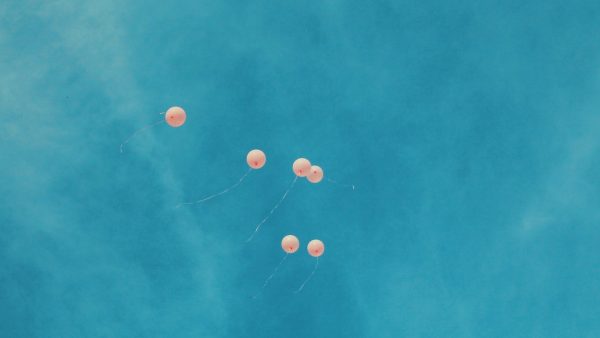 Stuntvliegtuig crasht tijdens gender reveal: twee doden