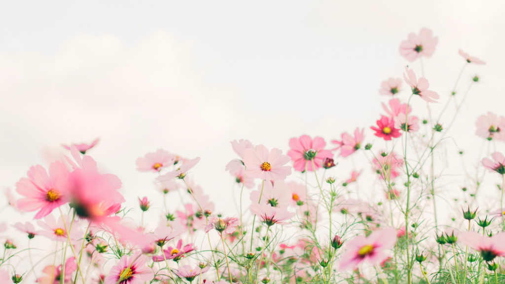 Van jas naar terras: de lente laat zich volgende week weer zien