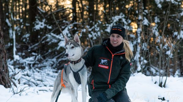 anita van steijn husky's