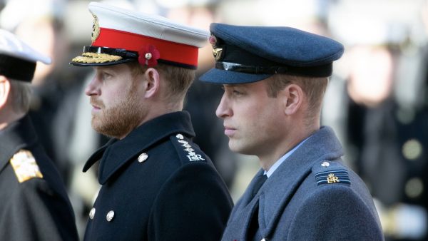 William en Harry niet naast elkaar achter kist prins Philip