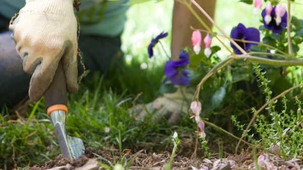 Guerrilla Gardening: Zo maak je van je grijze buurt een groene oase