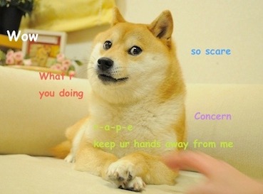 Dogecoin is vernoemd naar de doge-meme uit 2013