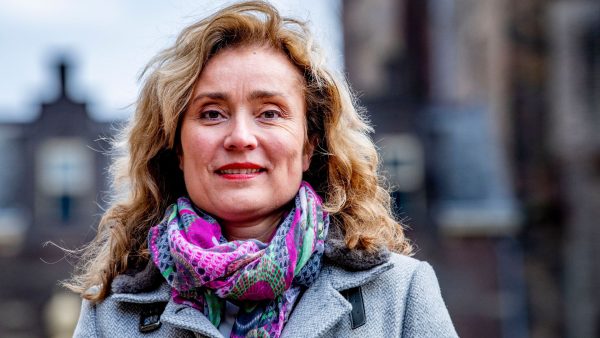 Vera Bergkamp, Anne+ en Tim Hofman bekroond met Diversity Award