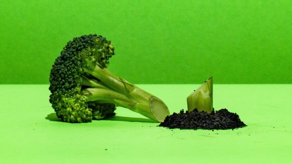 Albert Heijn zegt sorry voor broccoli-grap Songfestivalnummer_ 'Niet onze bedoeling'