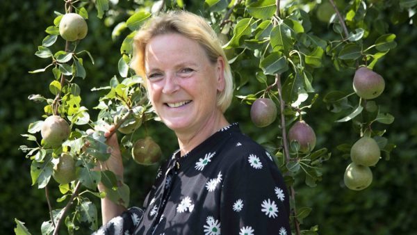 erica meiland verliefd sander verkering liefdesrelatie