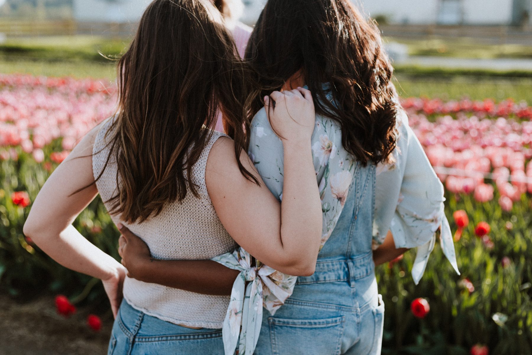 Happy Hugging Day: de Britten mogen elkaar binnenkort weer knuffelen