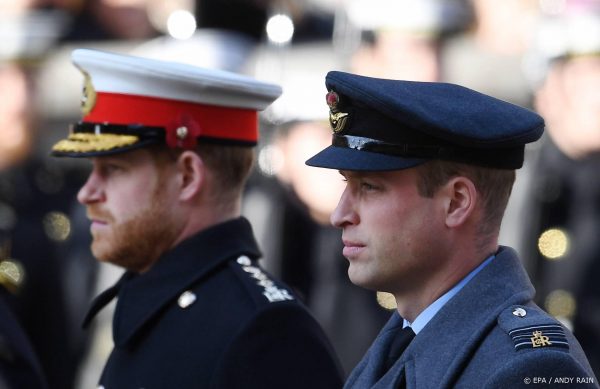 William en Harry geven apart een speech bij herdenking Diana