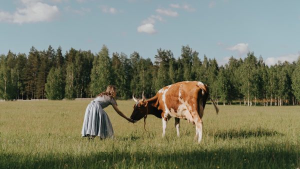 serie over boeren