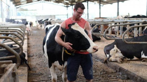 Babygeluk op de boerderij: Jos en Amy ouders geworden van 'BzV'-baby nr 91