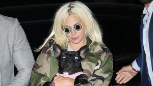 Thumbnail voor Hondenuitlater Lady Gaga weer aan het werk na brute overval