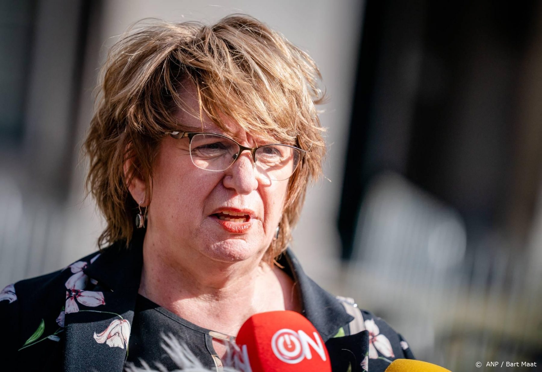 Mariëtte Hamer