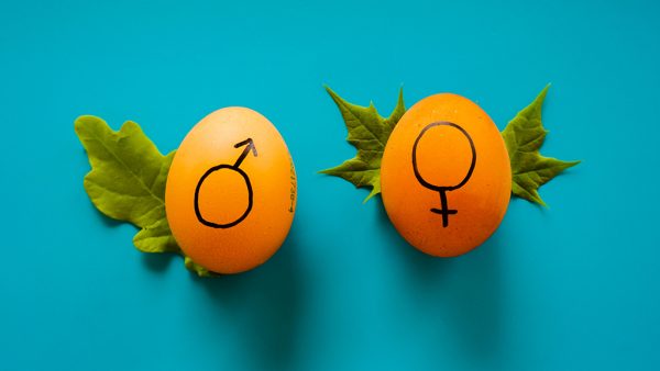 Wat is nou precies het verschil tussen sekse en gender?