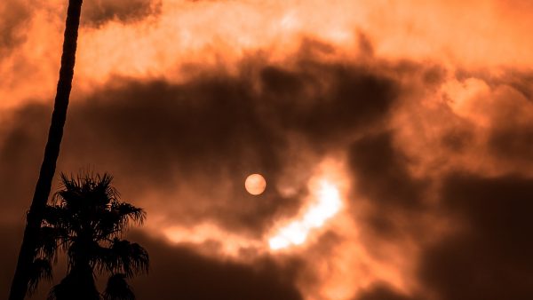 zonsverduistering veiligheid livestream