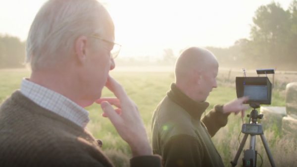 Eenvandaag Reekalfjes