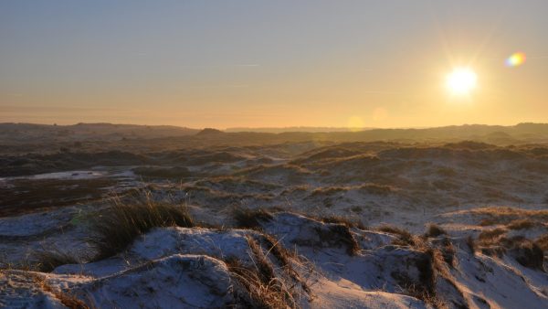 'Het leven op Vlieland is perfect in al zijn eenvoud'