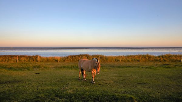 tips-waddeneilanden-vlieland-slecht-weer