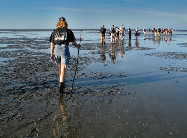 wadlopen-waddeneilanden