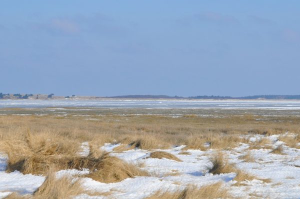 Vlieland-strand