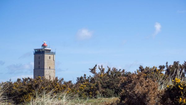 vuurtoren-eerschelling