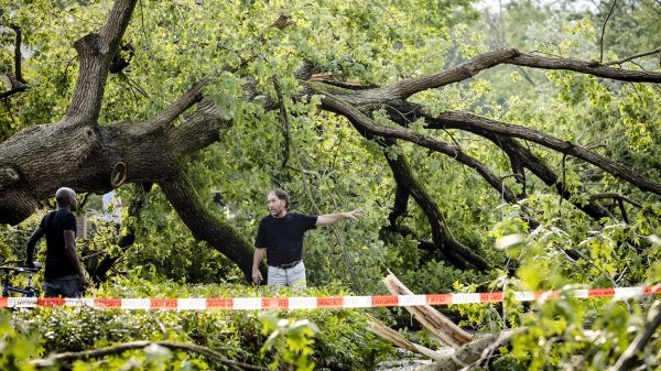 Flinke stormschade na onweersbuien