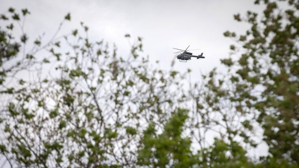 Lichaam van Jürgen Conings gevonden in Dilserbos in Vlaanderen