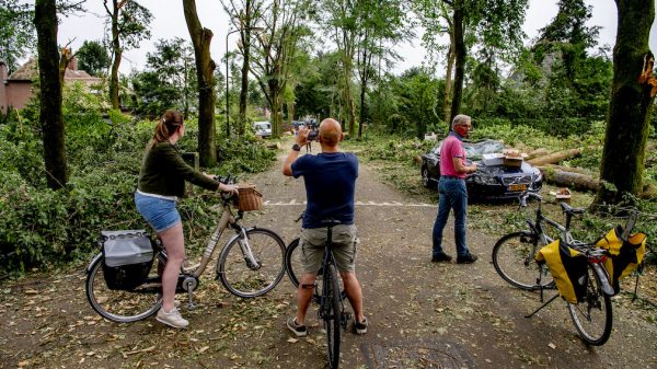 Storm bossen Leersum ANP