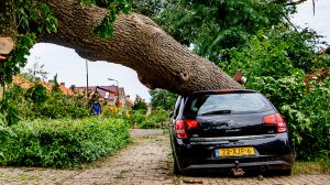 Thumbnail voor Carolien kreeg een boom op haar auto tijdens windhoos Leersum: 'Engeltje op m'n schouder'